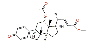 Petasitosterone C